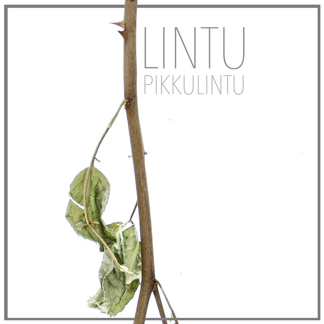 Pikkulintu