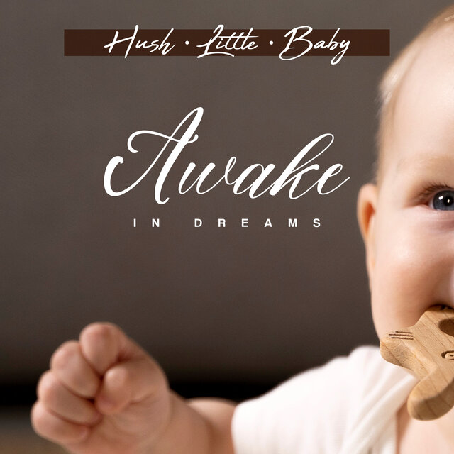 Awake in Dreams