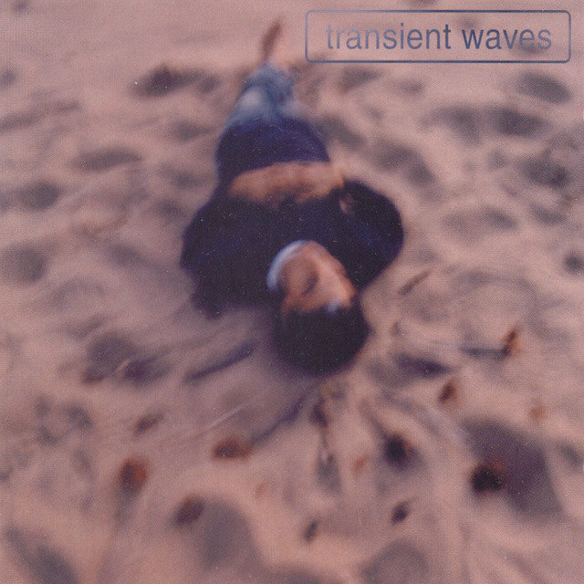 Transient Waves (Out of Print)