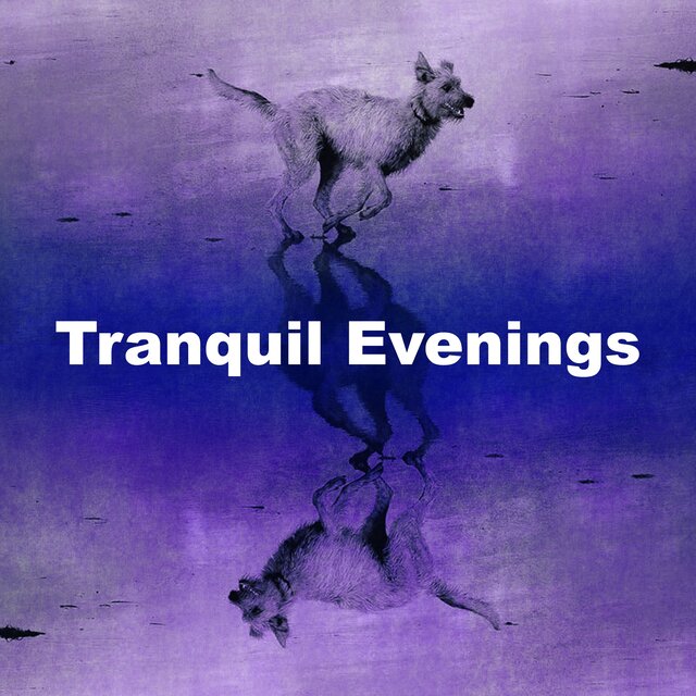 Tranquil Evenings