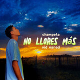 NO LLORES MÁS