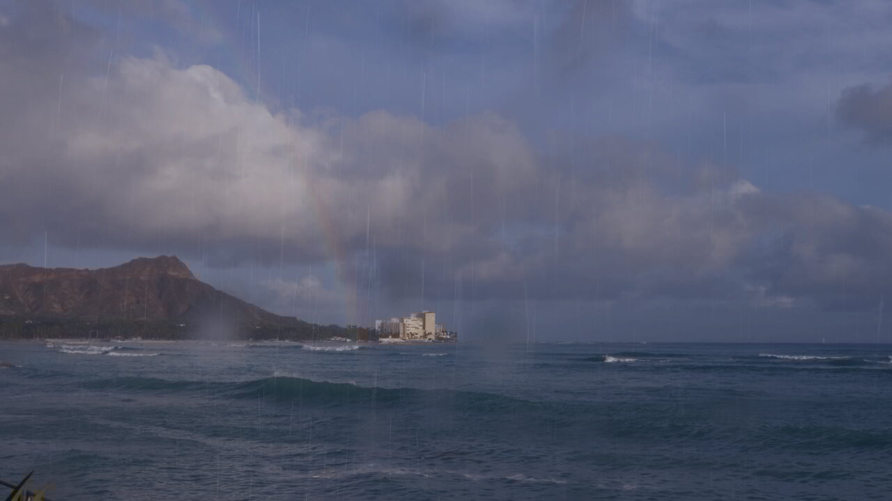 Hawaii Rain