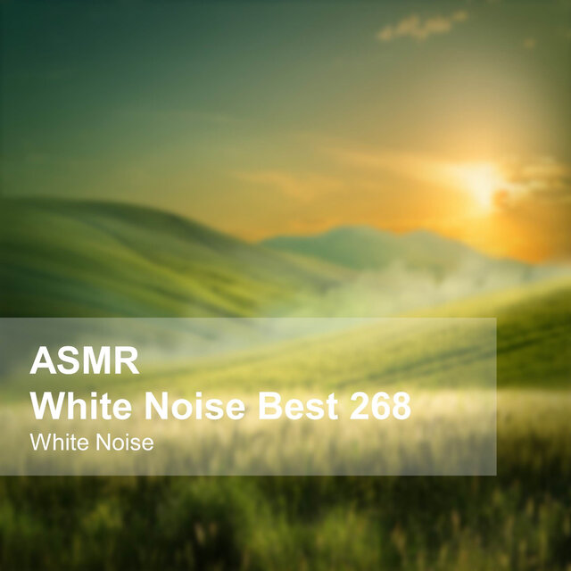 White Noise ASMR Best 268 (Rain Sounds, Bonfire, Burning Firewood, Space, Stream, Bird, Sleep, Baby Sleep, Study, Meditation, Healing)