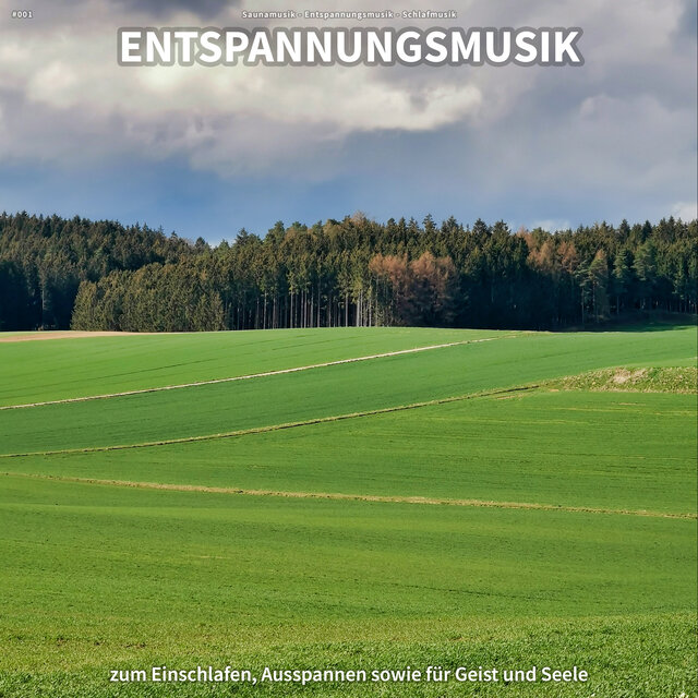 #001 Entspannungsmusik zum Einschlafen, Ausspannen sowie für Geist und Seele