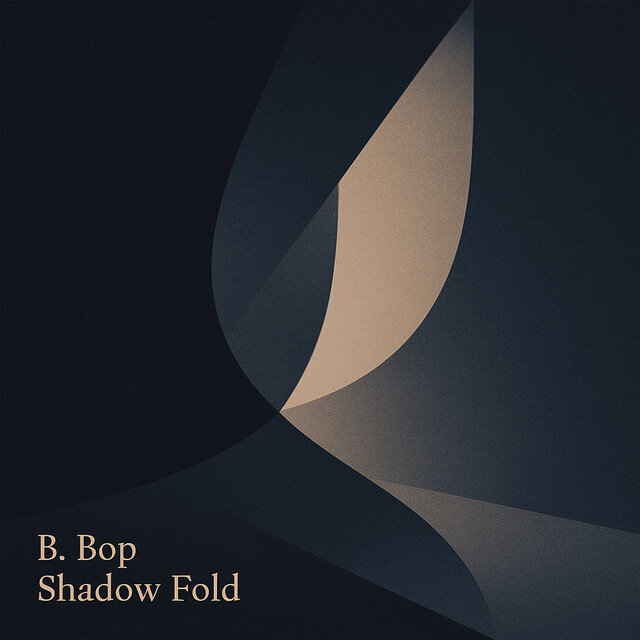 Shadow Fold