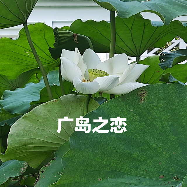 Guang Dao Zhi Lan