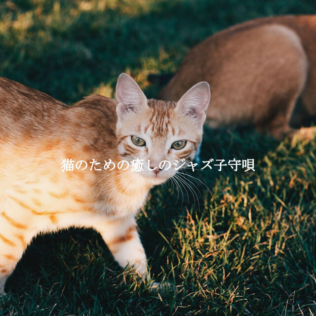 猫のための癒しのジャズ子守唄