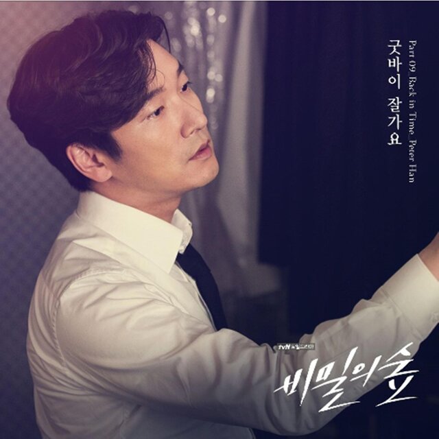 비밀의 숲 (Original Soundtrack) Part.9