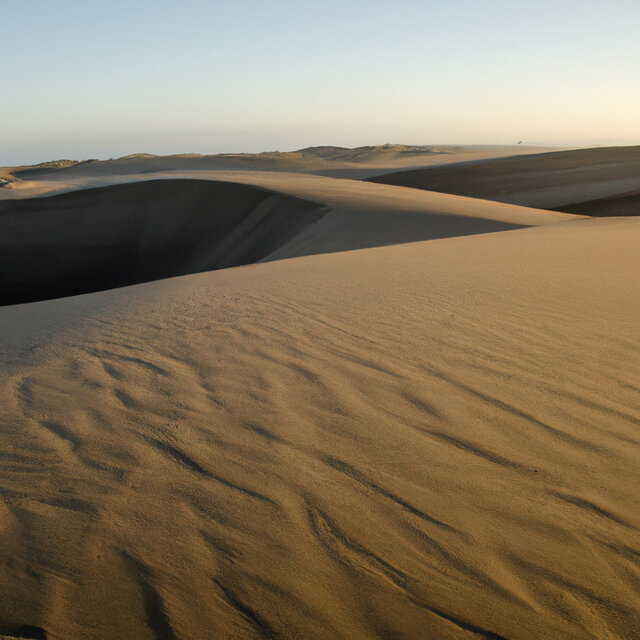 Desierto