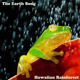 Rain in Kauai