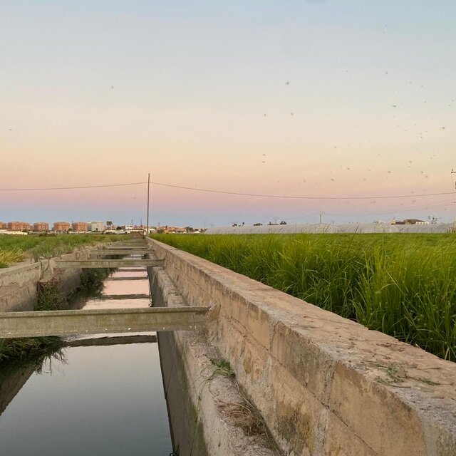 ALBORAIA ES UN LUGAR