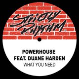 What You Need (feat. Duane Harden) [Full Intention Power Mix]