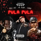 Pula Pula