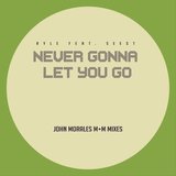 Never Gonna Let You Go