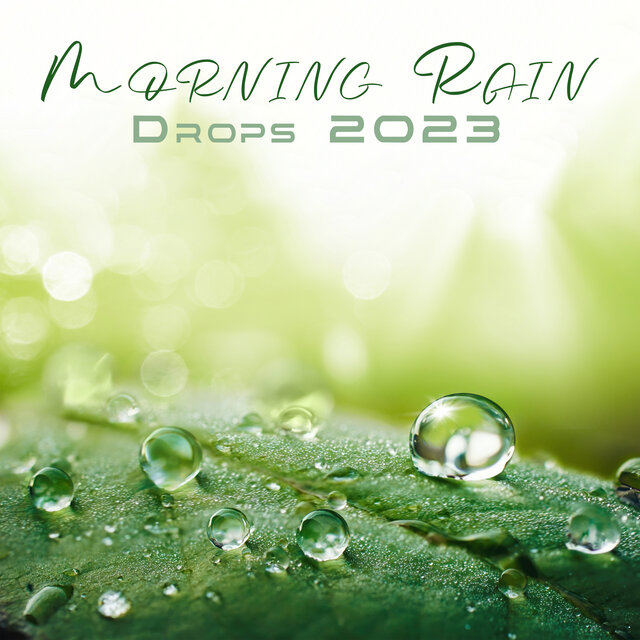 Morning Rain Drops 2023: Slow Relaxing Meditational Sounds, Water Spa Therapy