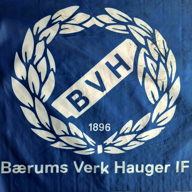 BVH sangen 2025 (Radio Edit)