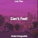 Can't Feel