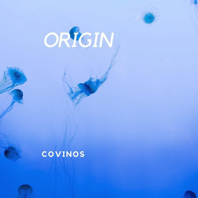 Origin