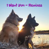 I want you (Xander Milne Remix)
