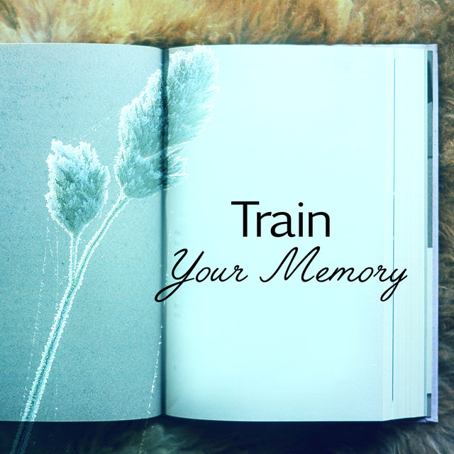 Train Your Memory – Best Classical Music for Study, Stress Relief, Deep Focus, Concentration, Easy Learning
