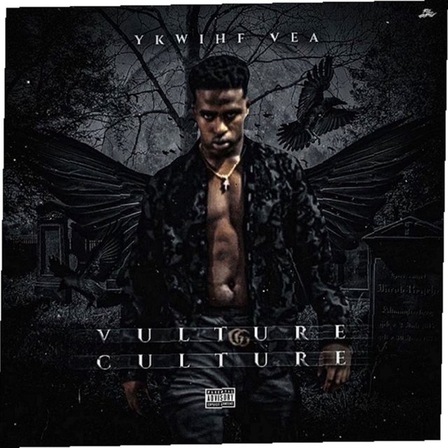 Vulture Culture