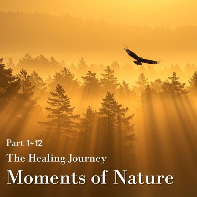 Moments of Nature – The Healing Journey