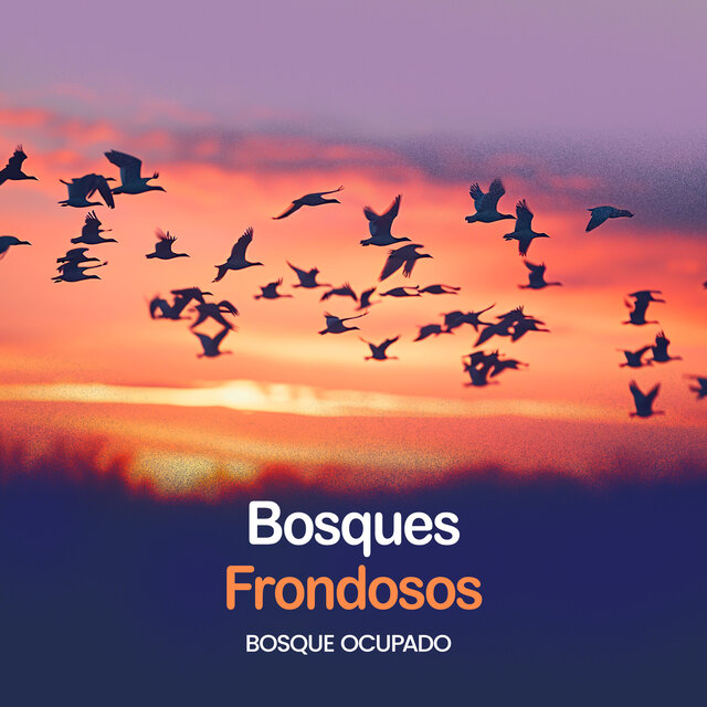 Bosques Frondosos