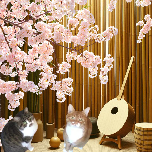 桜の世界への招待状