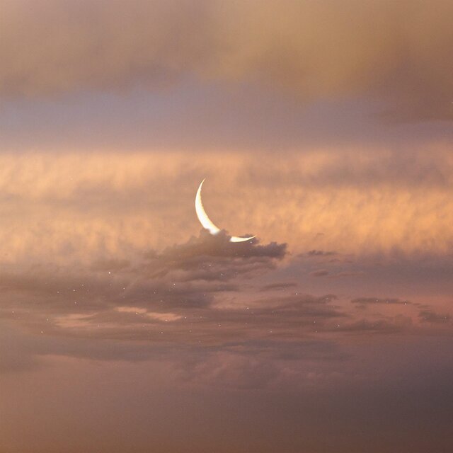Winter Moon