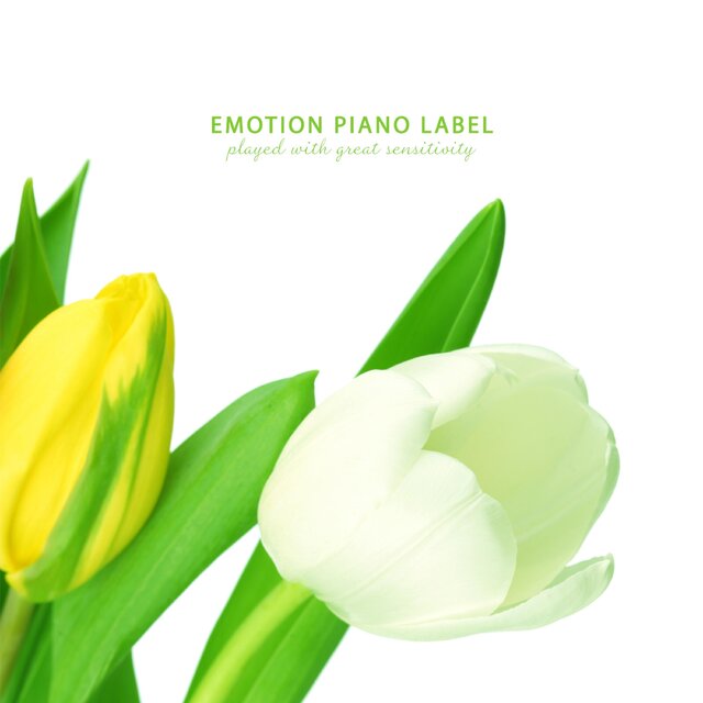 Piano Collection For Teaching (Sensibility Piano Collection)