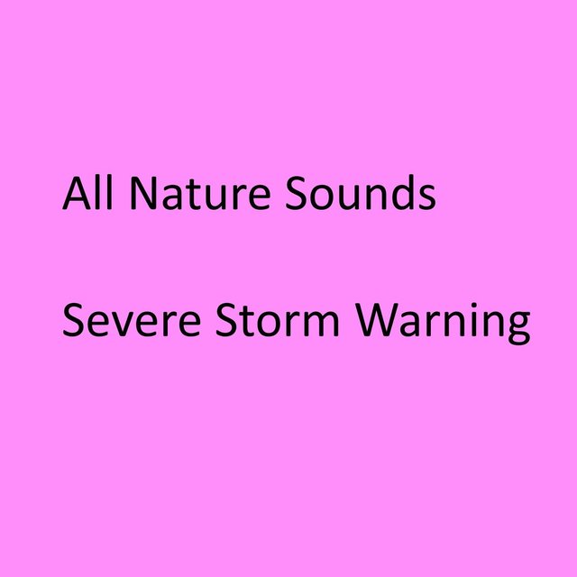 Severe Storm Warning
