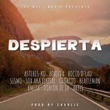 Despierta