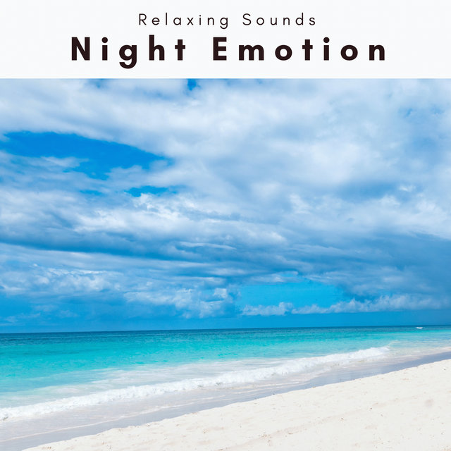 1 Night Emotion