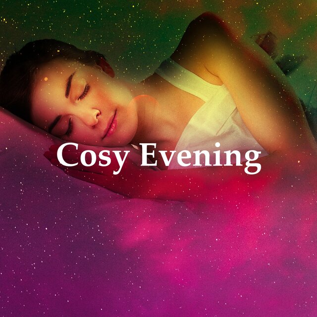 Cosy Evening
