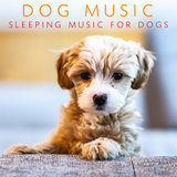 Help Your Dog Fall Asleep (Relaxing Piano) (Loopable - No Fade)