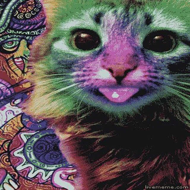 Funky Journeys
