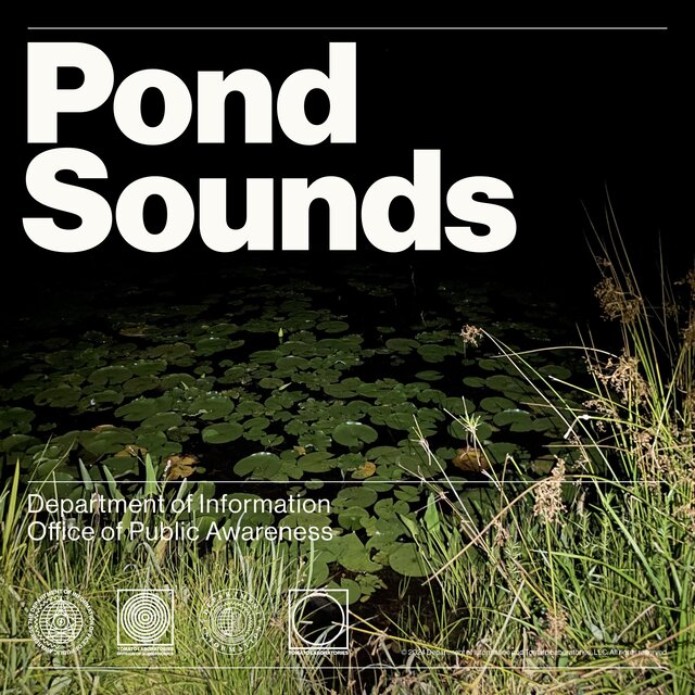 Pond Sounds