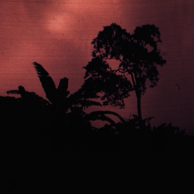 Clouded