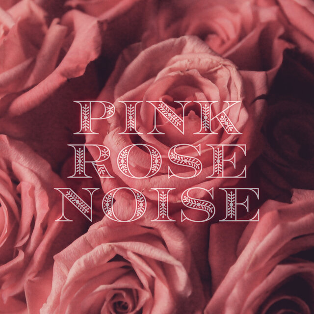 Pink Rose Noise