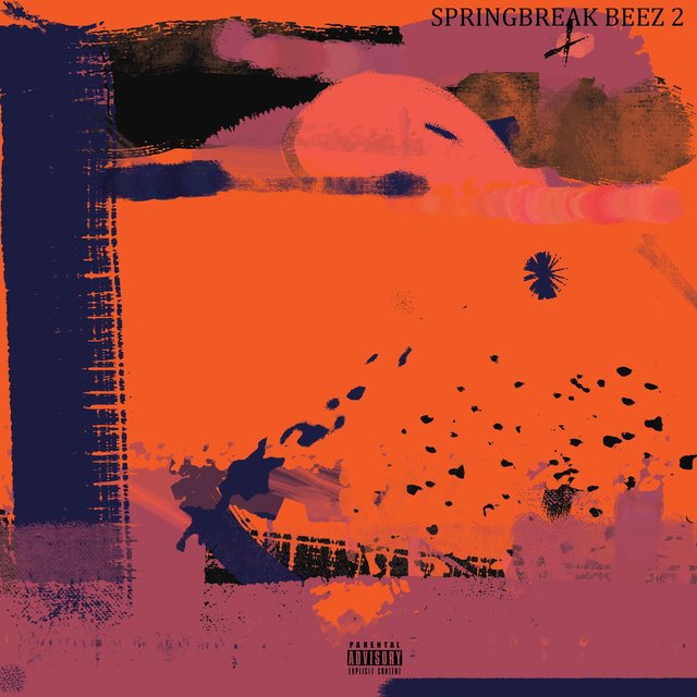 Springbreak Beez 2: Day