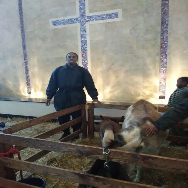 Forgiven