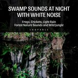 White Noise, Take Cover (Loopable)