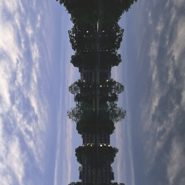 Wither (In Bloom)