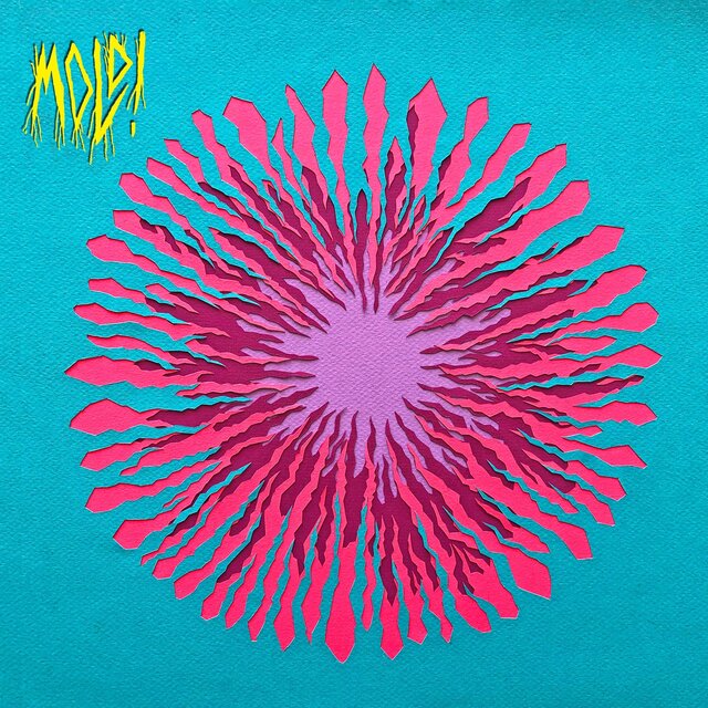 MOLD!