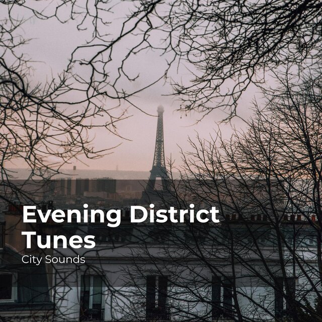 Evening District Tunes