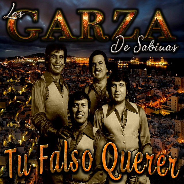 Tu Falso Querer
