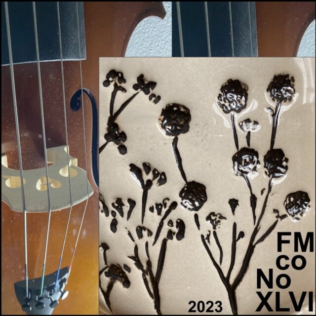 Fmco No XLVI 2023