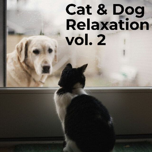 Cat & Dog Relaxation Vol. 2