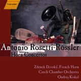 Horn Concerto in D Minor, C. 38/III:43: I. Allegro molto