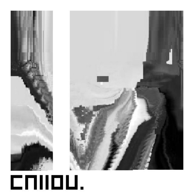 CN110U